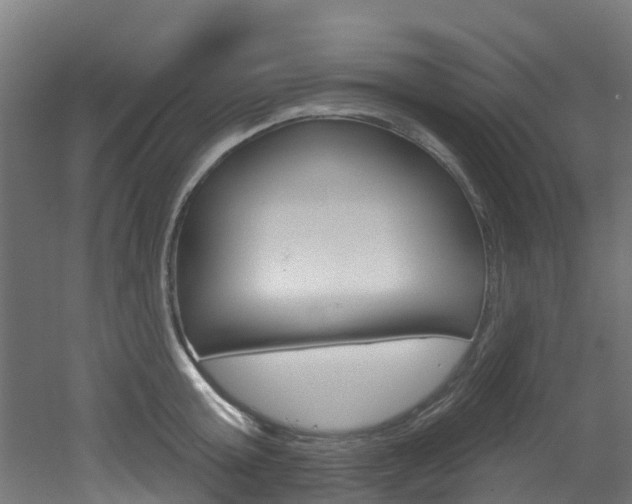 X0000051920803200506241128