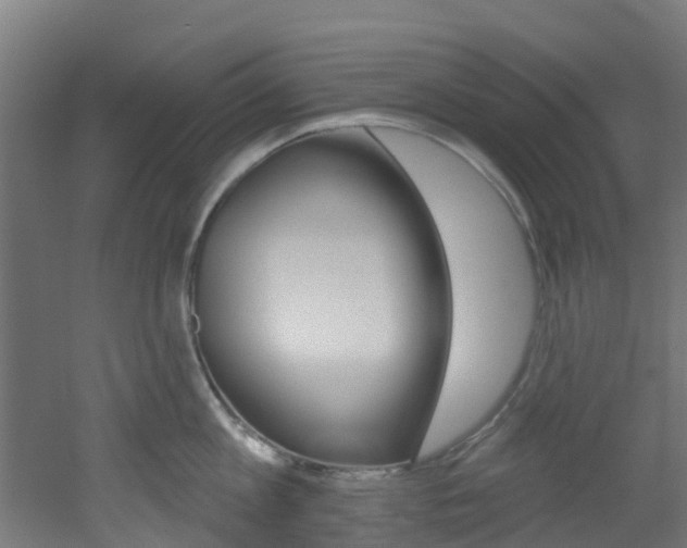 X0000051920813200506241128
