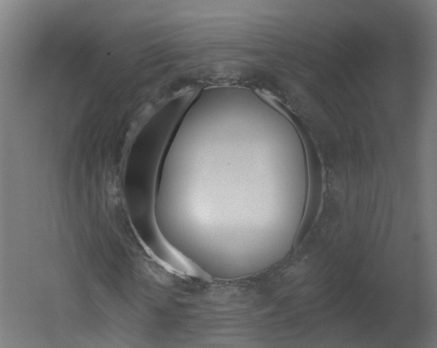 X0000051920818200506241127