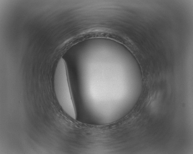 X0000051920821200506241127