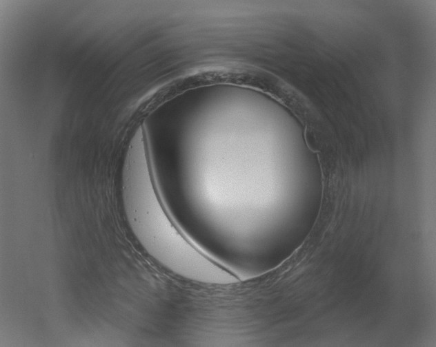 X0000051920822200506241127