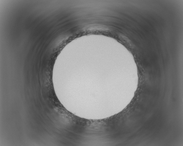X0000051920824200506241127
