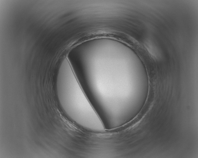 X0000051920825200506241127