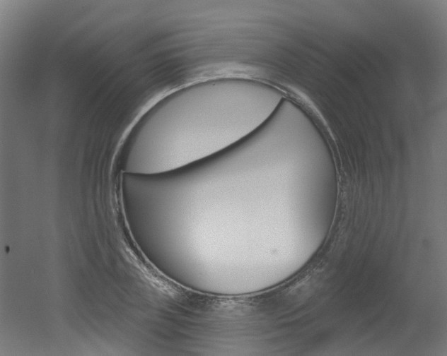 X0000051920835200506241127