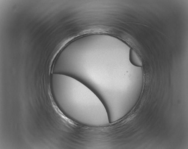X0000051920844200506241127