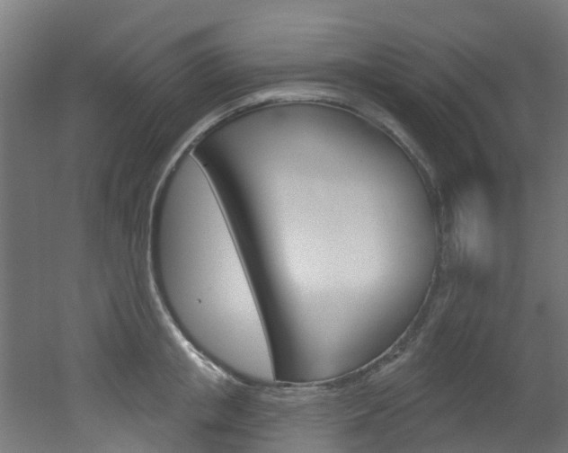 X0000051920853200506241127
