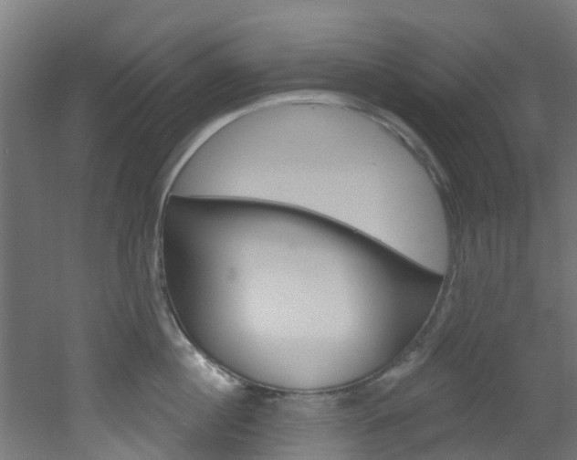 X0000051920860200506241127