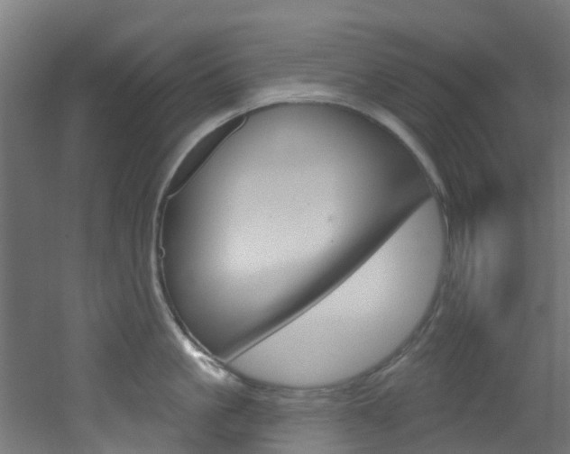 X0000051920861200506241127
