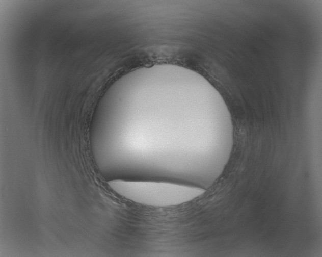 X0000051920865200506241127