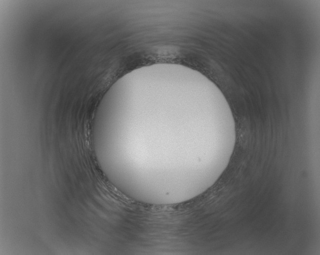 X0000051920866200506241127