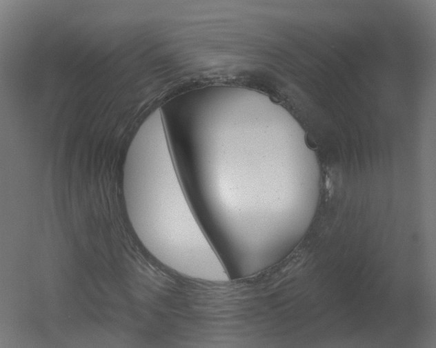 X0000051920867200506241127