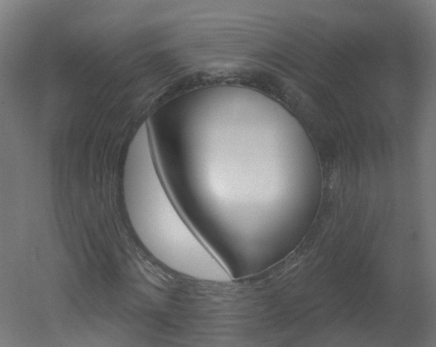 X0000051920868200506241127