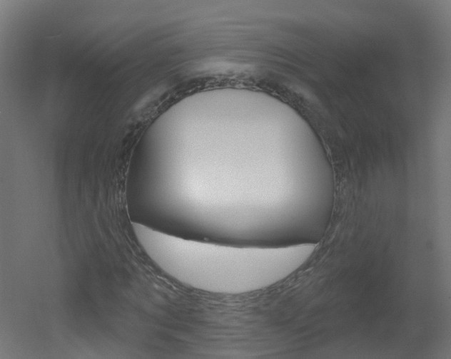 X0000051920869200506241127