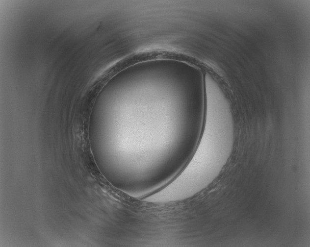 X0000051920872200506241127