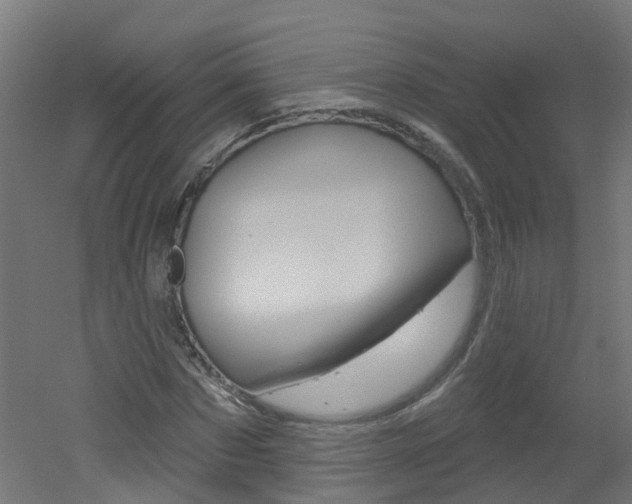 X0000051920873200506241127