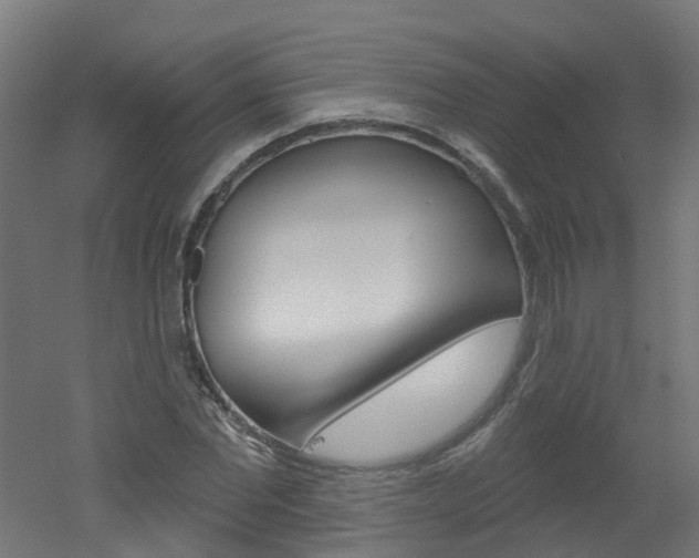 X0000051920877200506241126