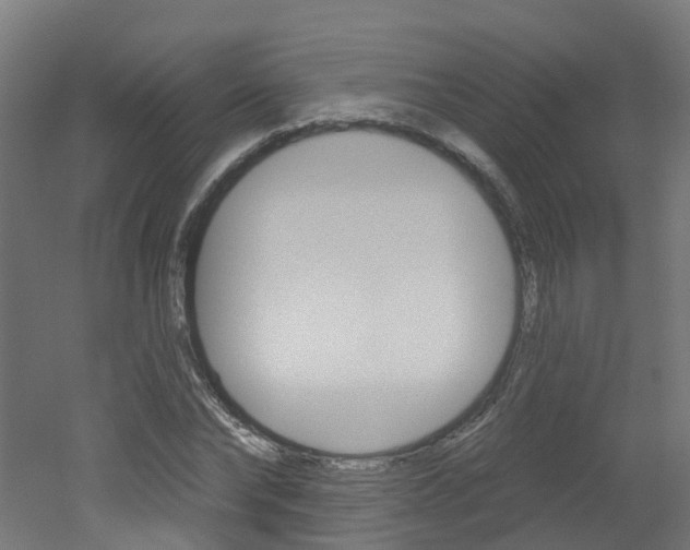 X0000051920878200506241126