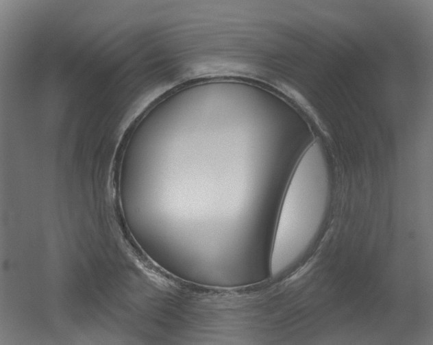 X0000051920885200506241126