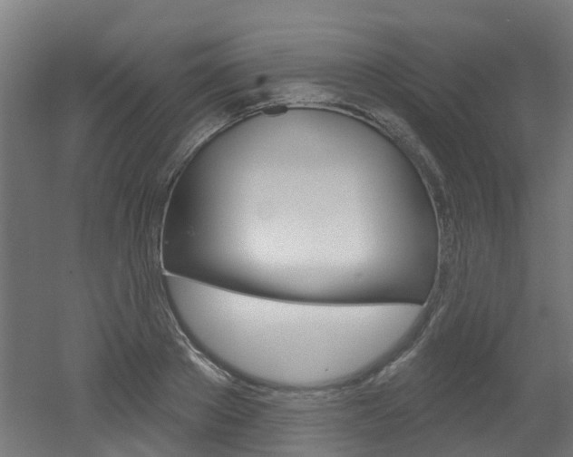 X0000051920889200506241126
