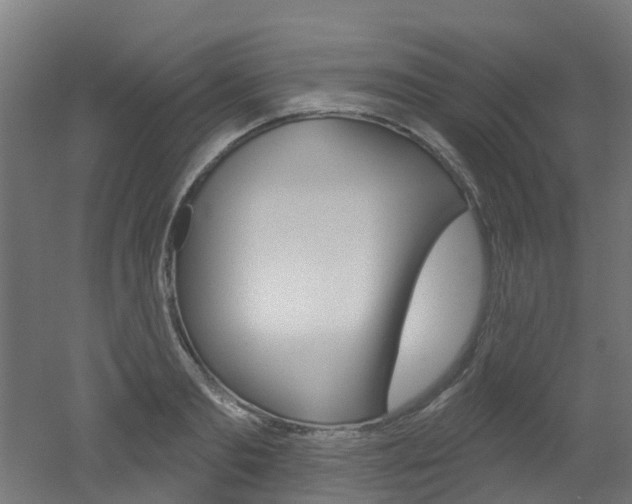 X0000051920893200506241126