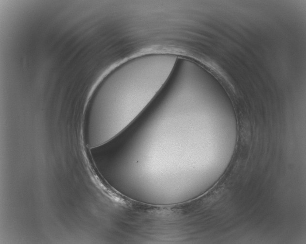 X0000051920896200506241126