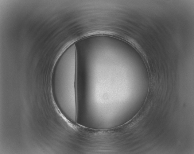X0000051920898200506241126