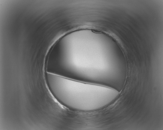 X0000051920902200506241126