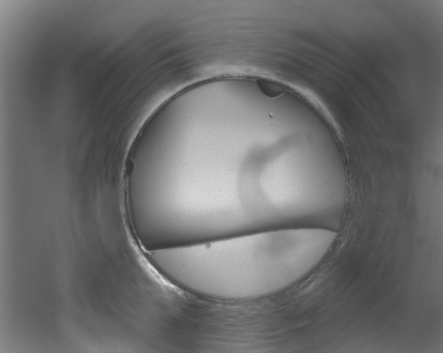 X0000051920903200506241126