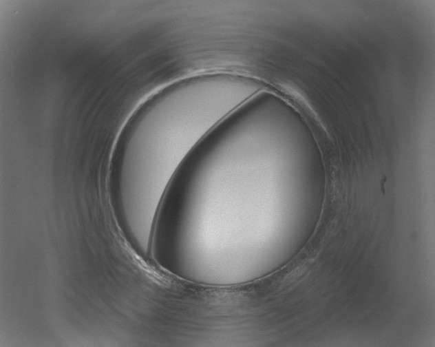 X0000051920924200506241125