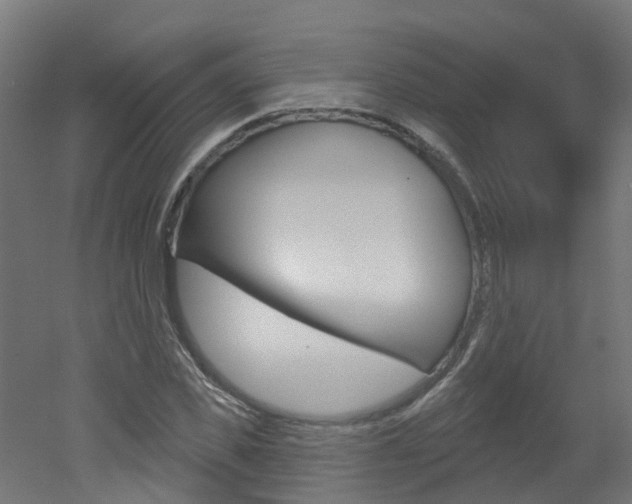 X0000051920925200506241125