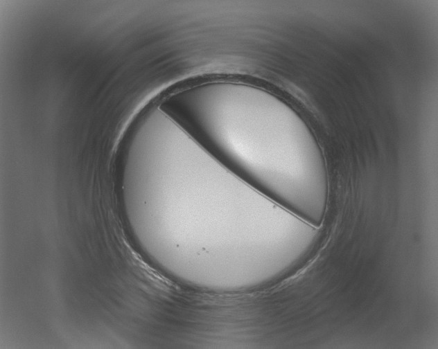 X0000051920926200506241125