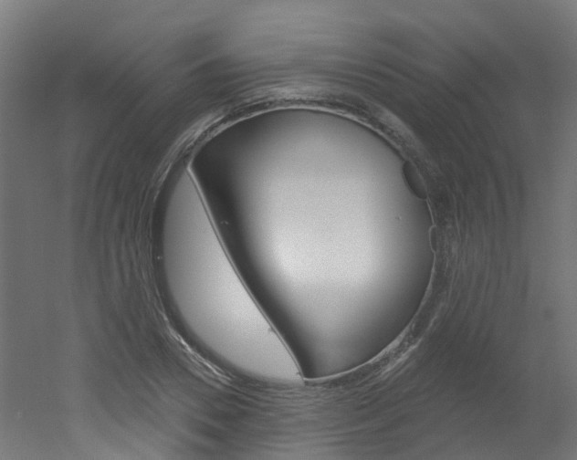 X0000051920930200506241125