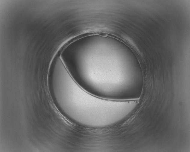 X0000051920932200506241125