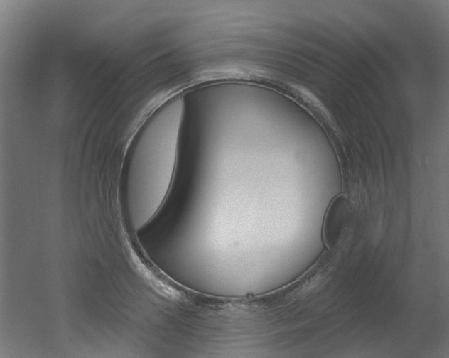 X0000051920938200506241125