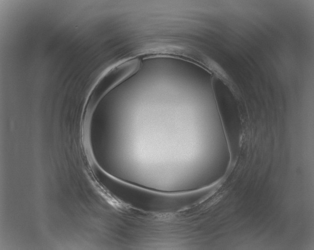 X0000051920940200506241125