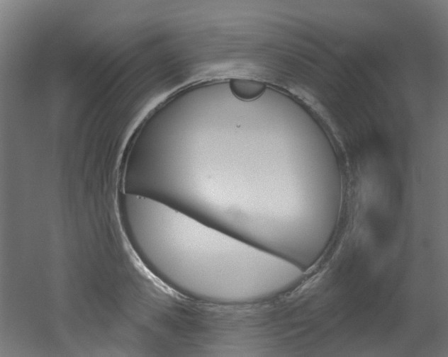 X0000051920941200506241125