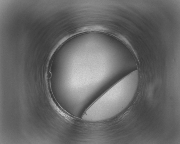 X0000051920947200506241126