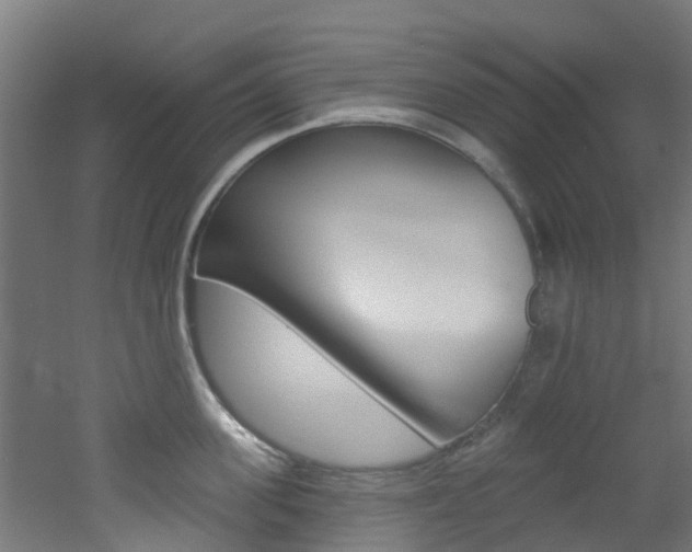 X0000051920955200506241126