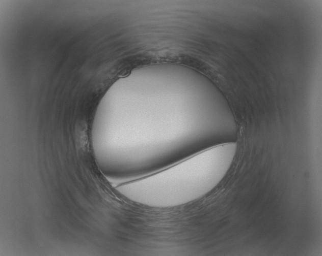 X0000051920963200506241125