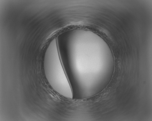 X0000051920968200506241125