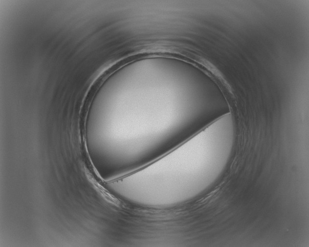 X0000051920980200506241125