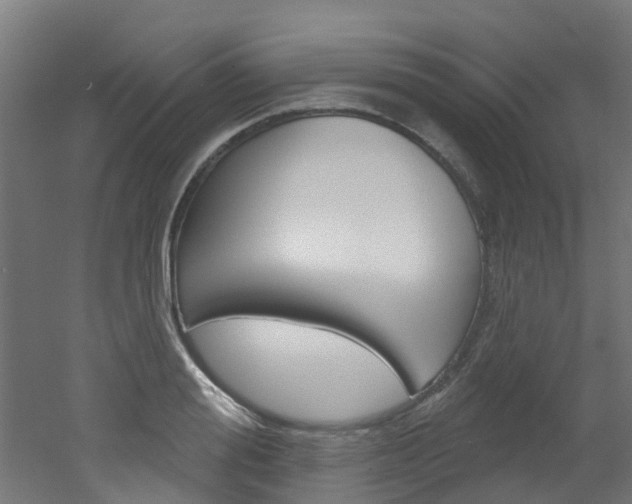 X0000051920988200506241125