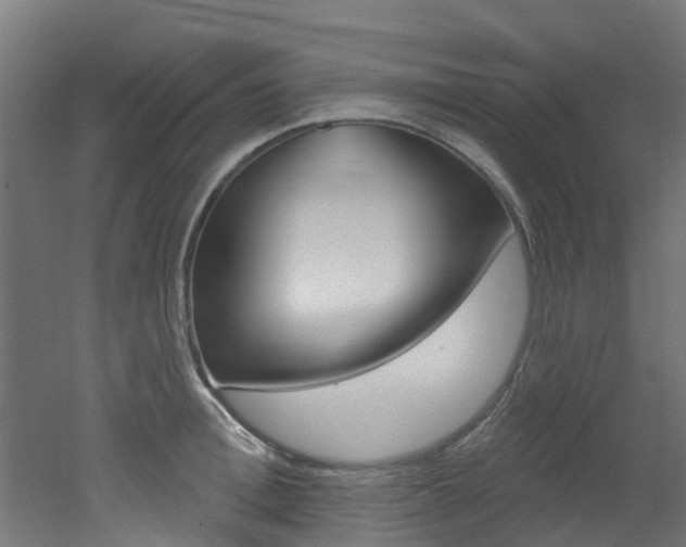 X0000051920996200506241124