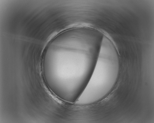 X0000051920997200506241124