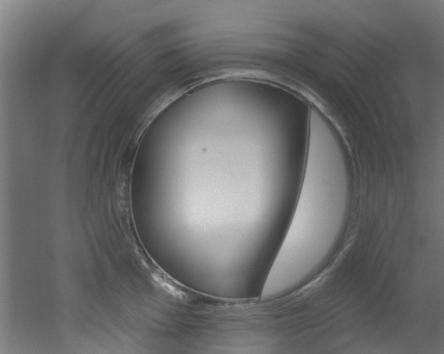 X0000051921001200506241124