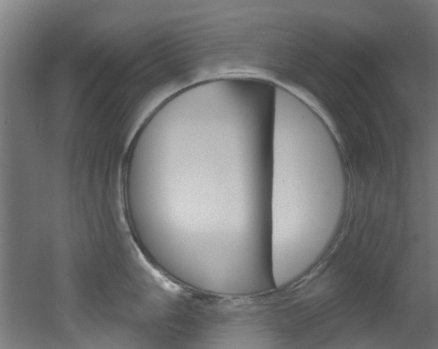 X0000051921006200506241124