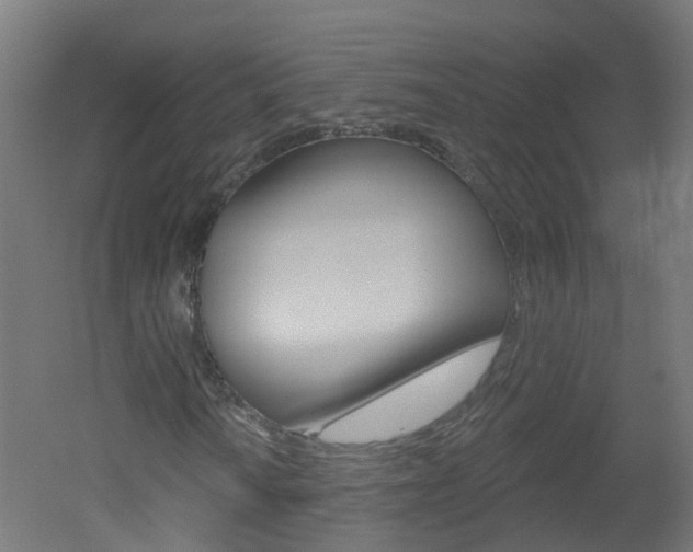 X0000051921010200506241123