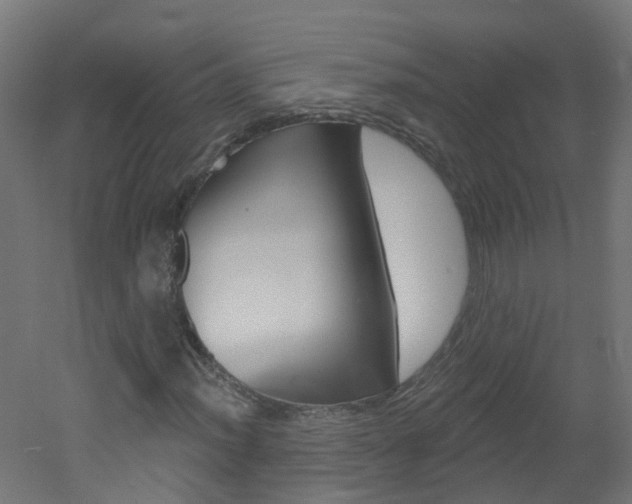 X0000051921012200506241123