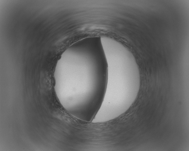 X0000051921013200506241123
