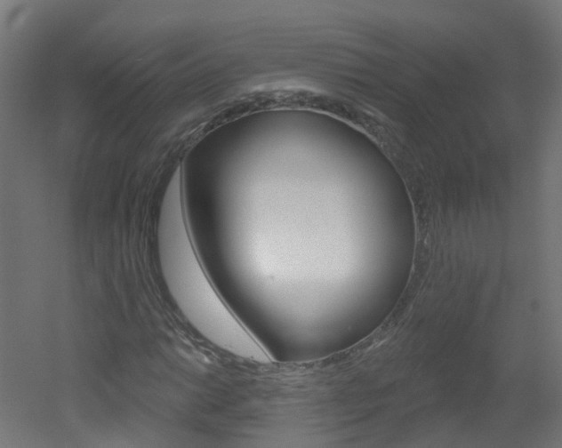X0000051921014200506241123
